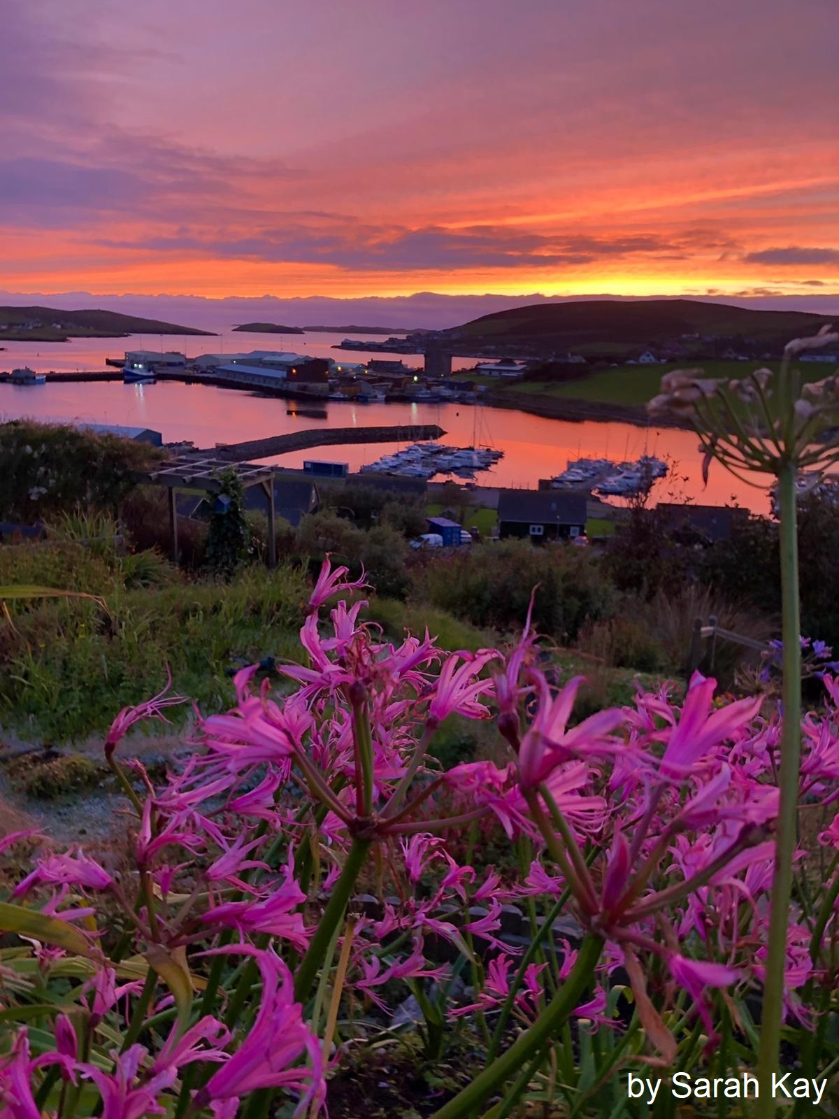 Scalloway in sunset by Sarah Kay